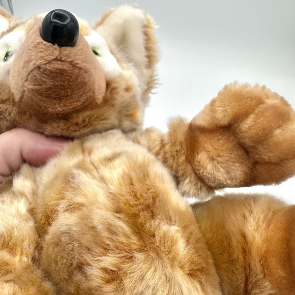 HTB Hard Rock Cafe Herrington Teddy Bear Foxwoods FOX Secret Bear Plush 2006 - Picture 9 of 12